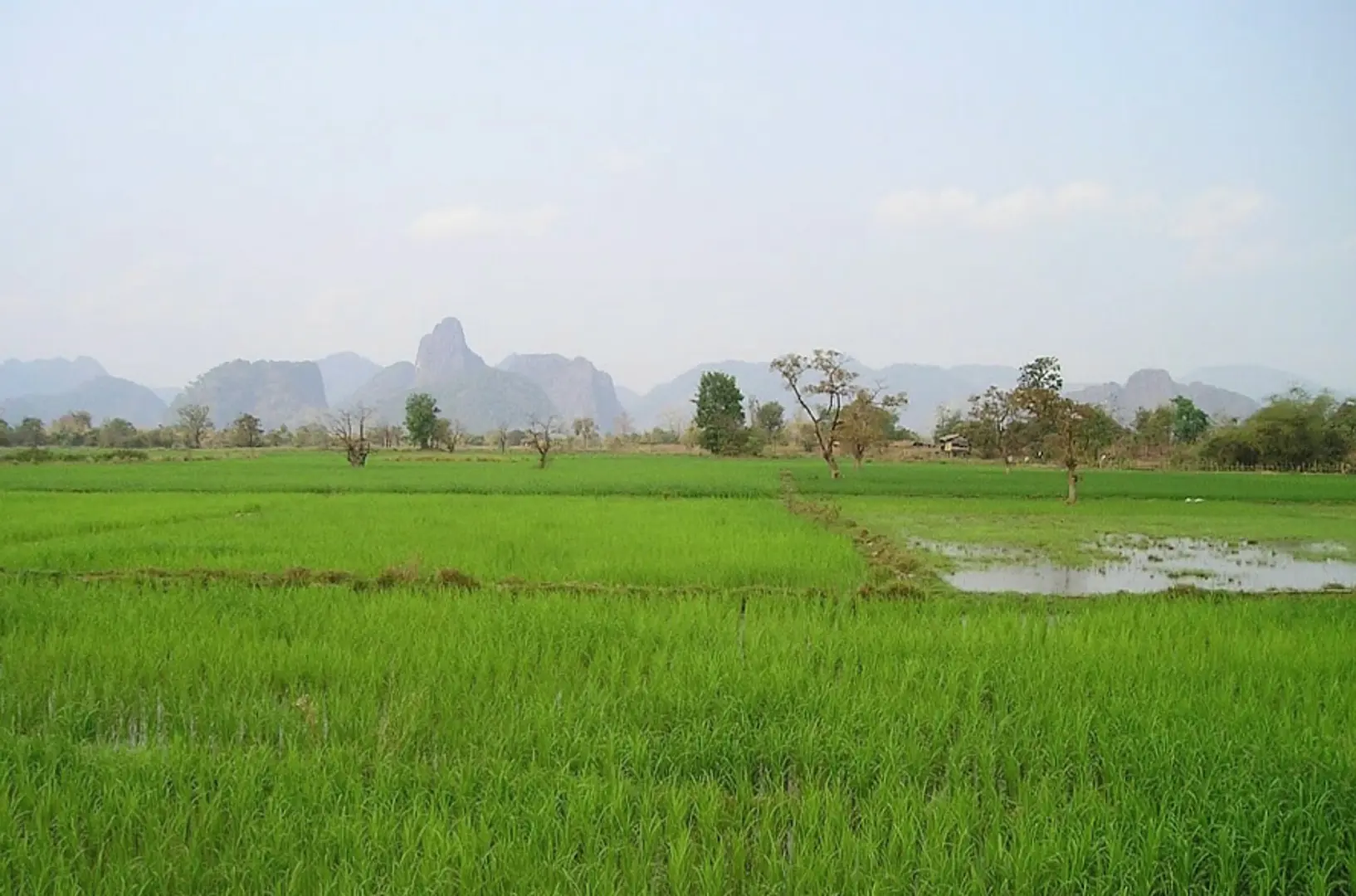 Chuyển đổi 30,8ha đất trồng lúa ở Phú Thọ làm dự án khu đô thị 