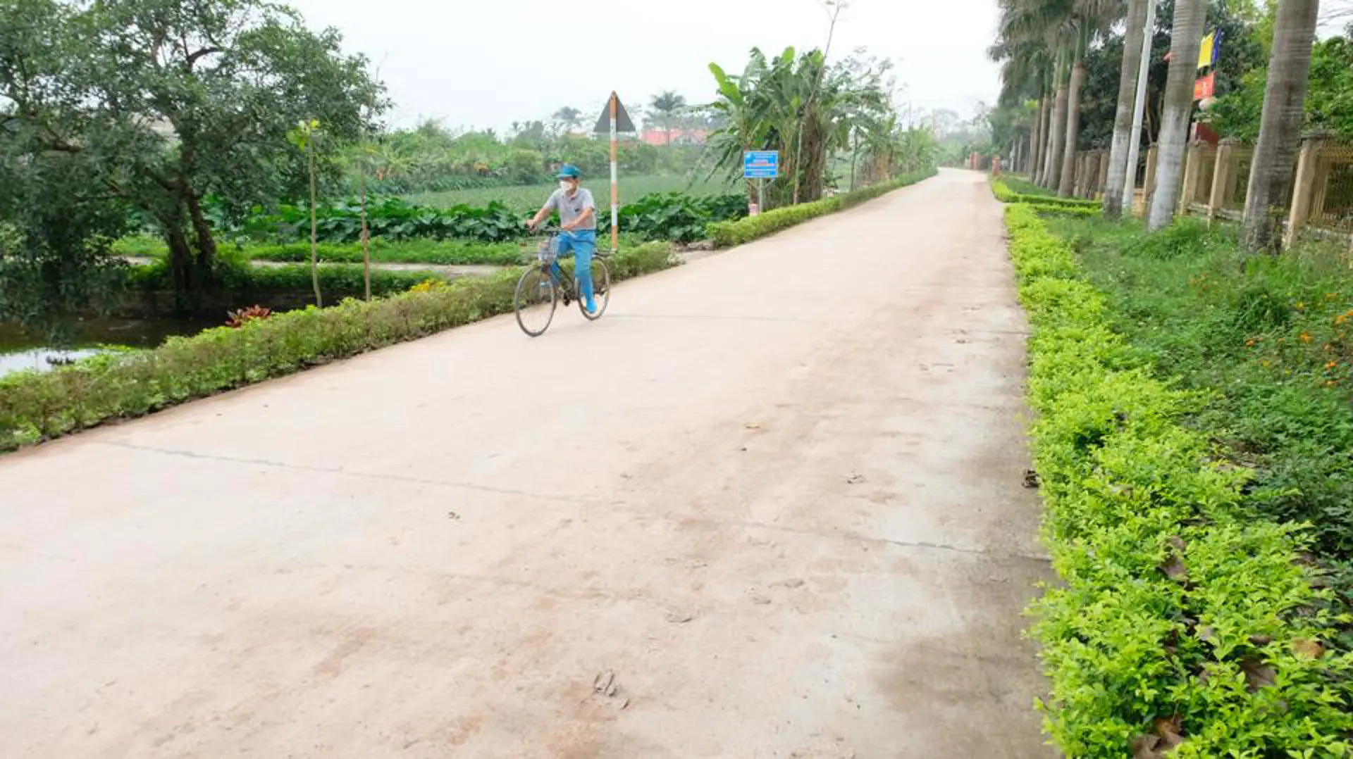 Một tuyến đường hoa, cây xanh do phụ nữ tự quản tại xã Đại Thắng, huyện Phú Xuyên. Ảnh Lâm Nguyễn.