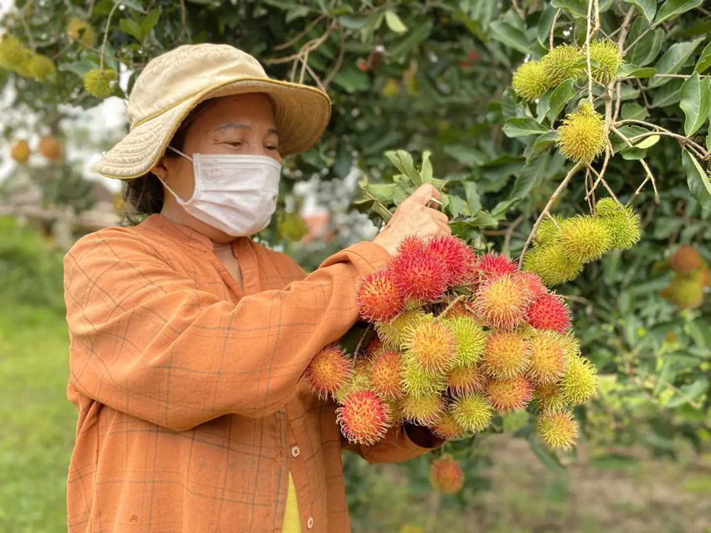 Quảng Ngãi có 61 sản phẩm OCOP cấp tỉnh