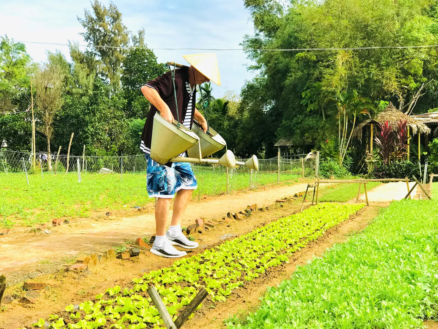 Phát triển du lịch xanh là hướng đi tất yếu, bền vững