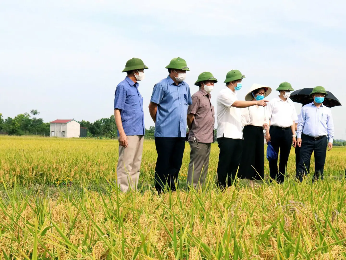 Hà Nội tính chuyện đường dài cho xuất khẩu nông sản