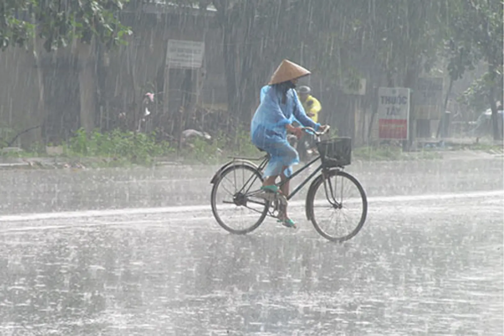 Thời tiết 10 ngày tới: Mưa rào, sương mù bao trùm miền Bắc