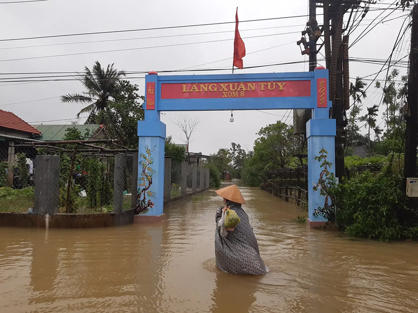 Thừa Thiên Huế: Hàng chục nghìn hecta lúa, hoa màu nguy cơ mất trắng