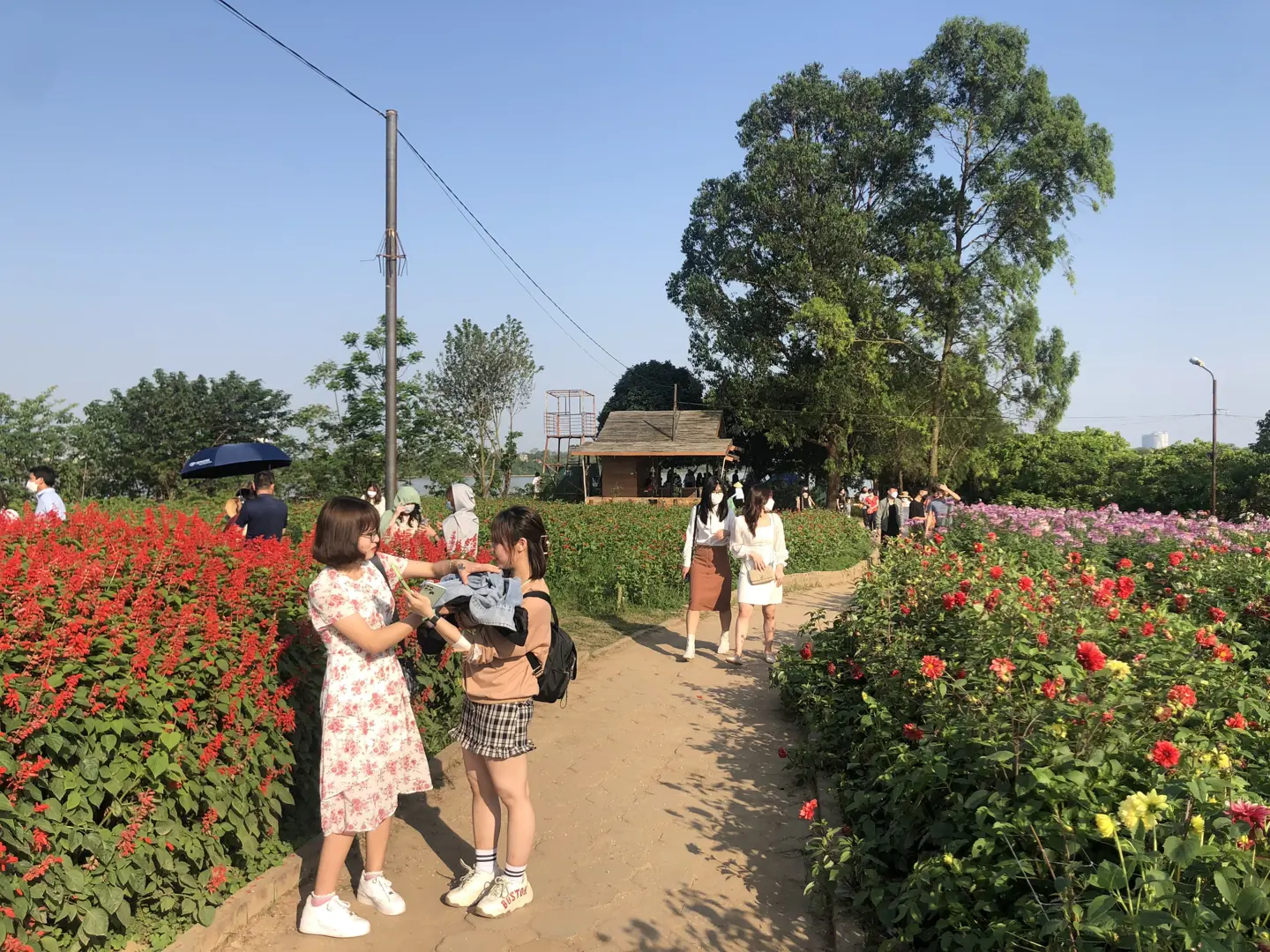 Check in những điểm hóng gió ven sông Hồng 