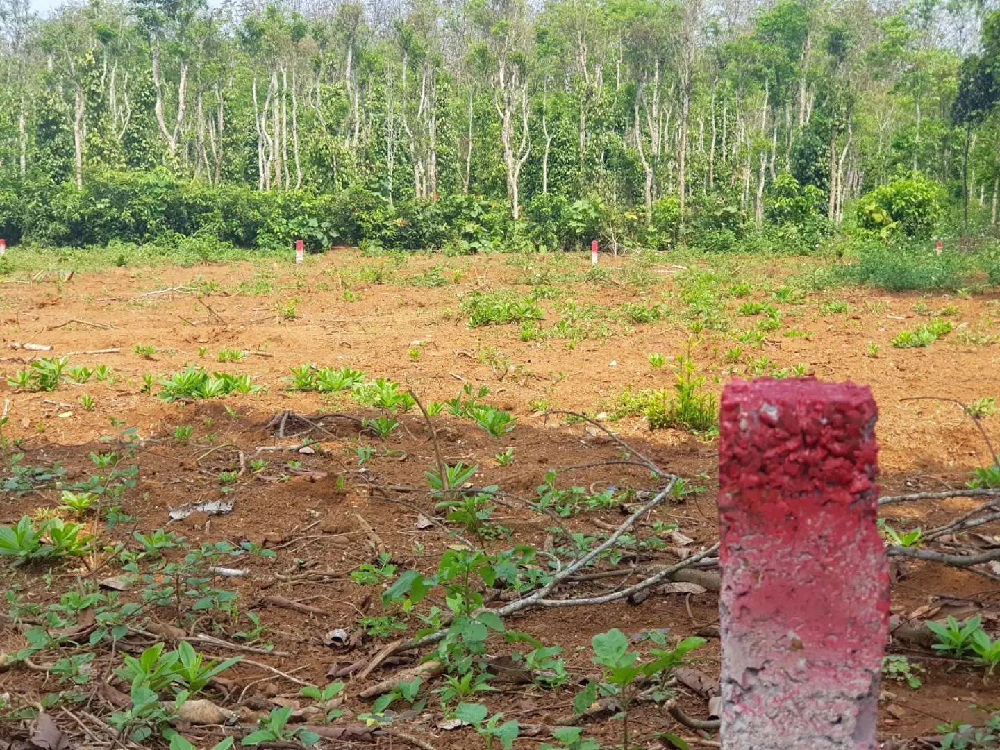 Quảng Trị: Loạn chiêu trò “vẽ quy hoạch” để phân lô, bán nền