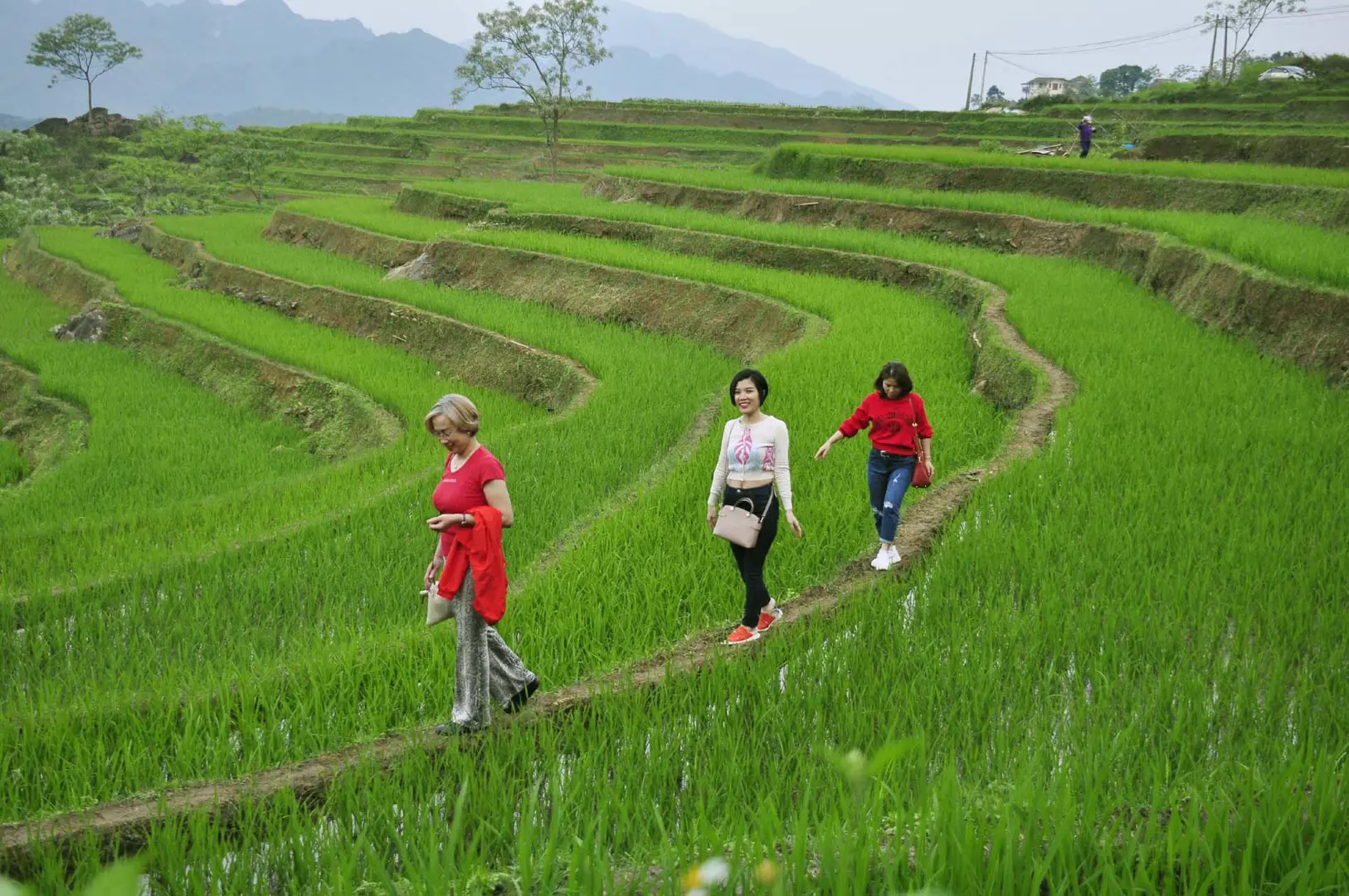 Mở cửa hoàn toàn, du lịch Việt khởi sắc