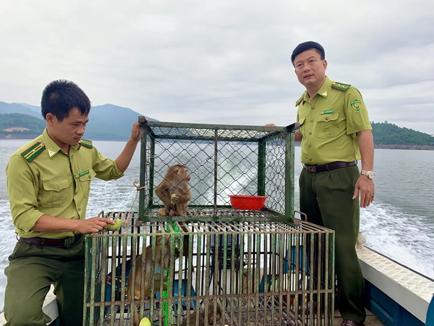 Hà Tĩnh: Tái thả nhiều cá thể động vật hoang dã