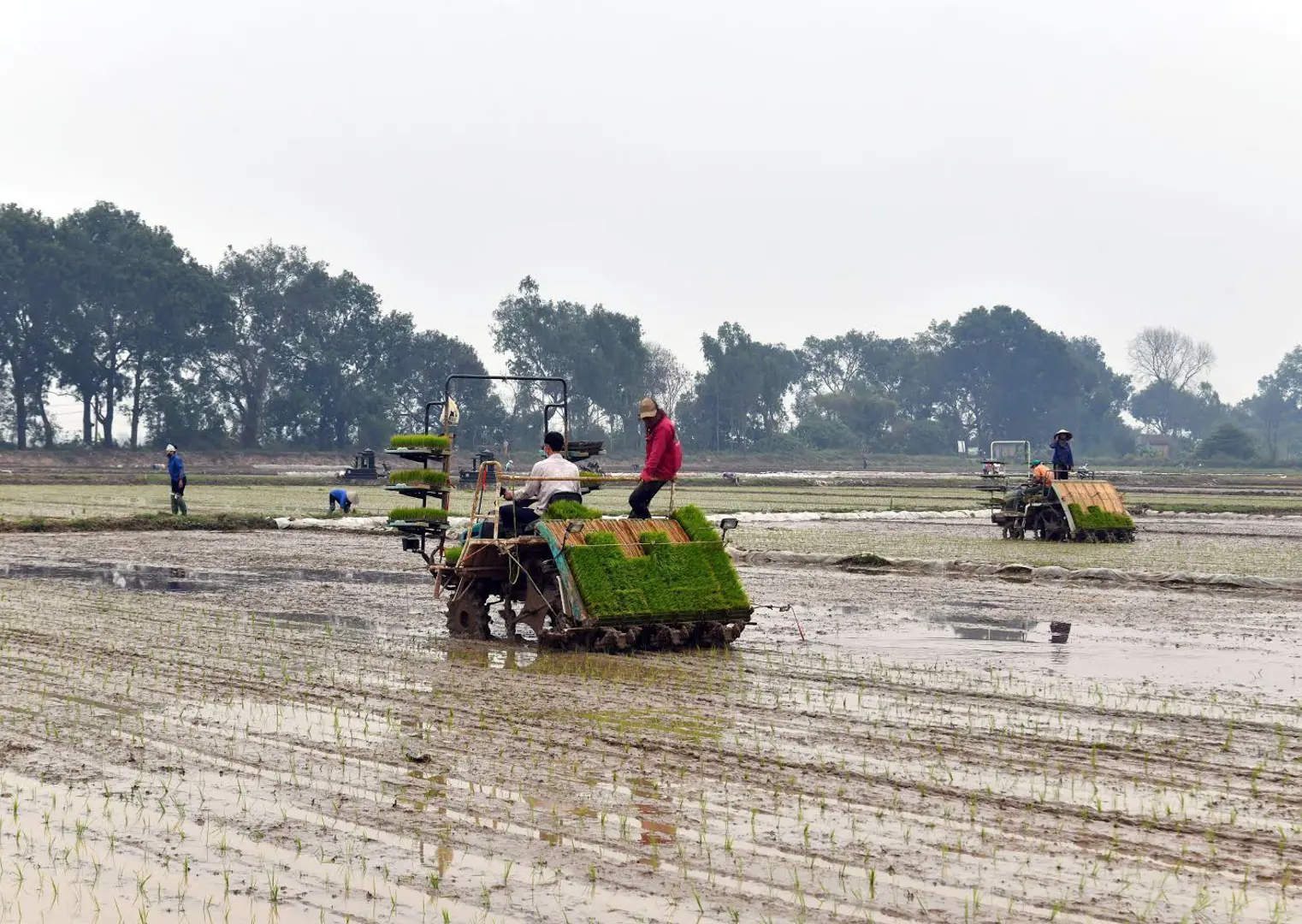 Thúc đẩy cơ giới hóa nông nghiệp