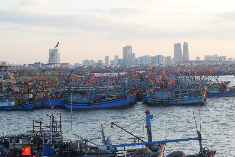 Vietnam can overlook China fishing ban in South China Sea: Prof. Thayer 