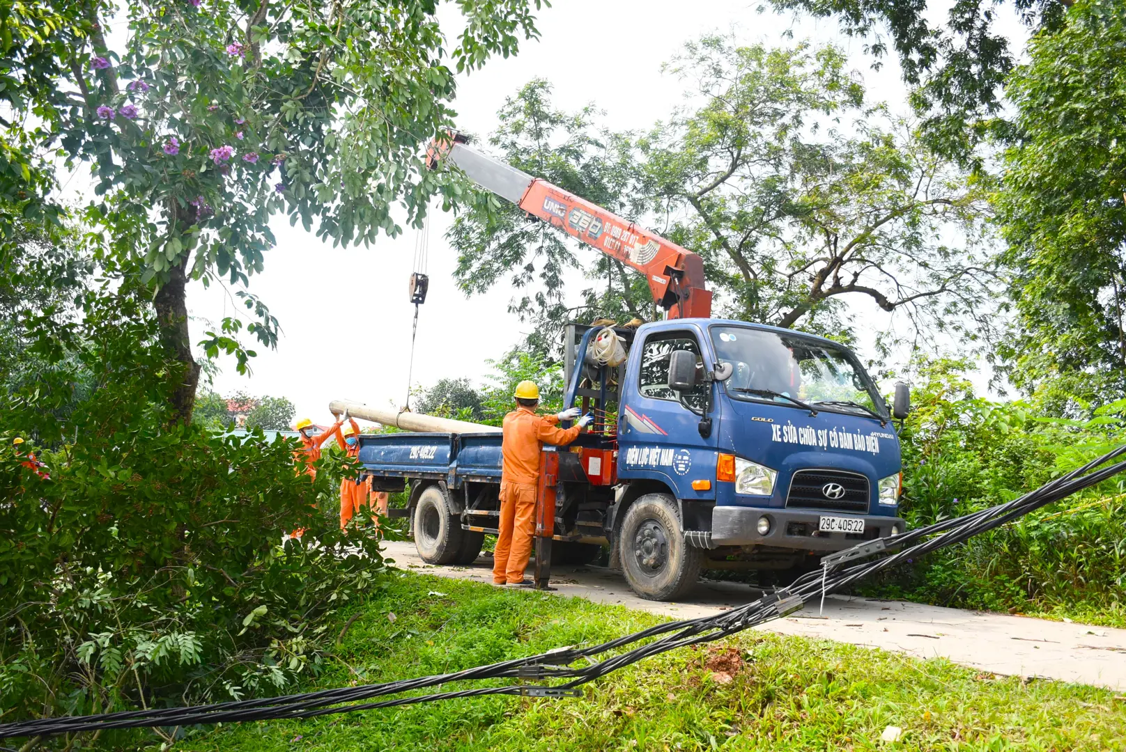 EVNHANOI sẵn sàng các phương án, vật tư để ứng phó với mưa dông.