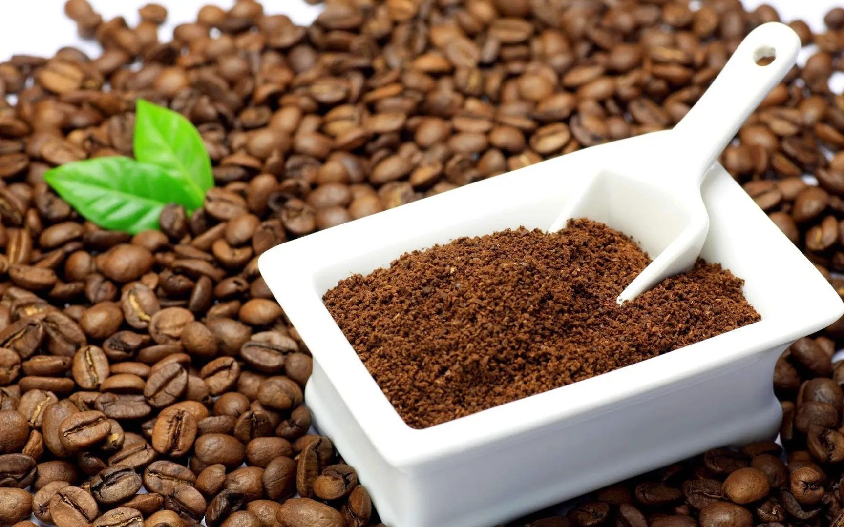 Giá cà phê hôm nay 2/6: Arabica tăng sốc, trong nước thêm gần 1.000 đồng/kg