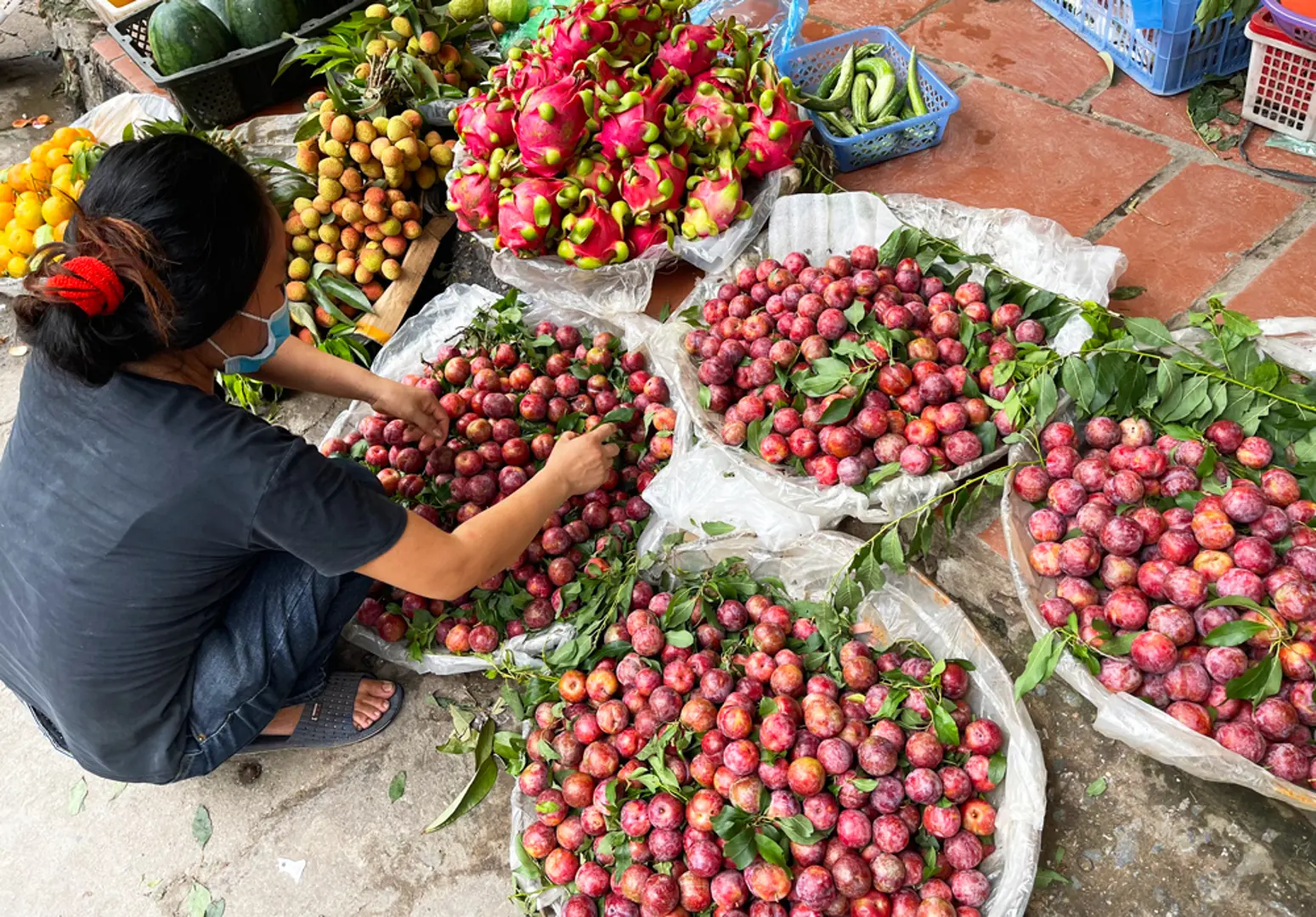 Thị trường ngày Tết Đoan Ngọ: Trái cây rẻ hơn nhiều so với mọi năm