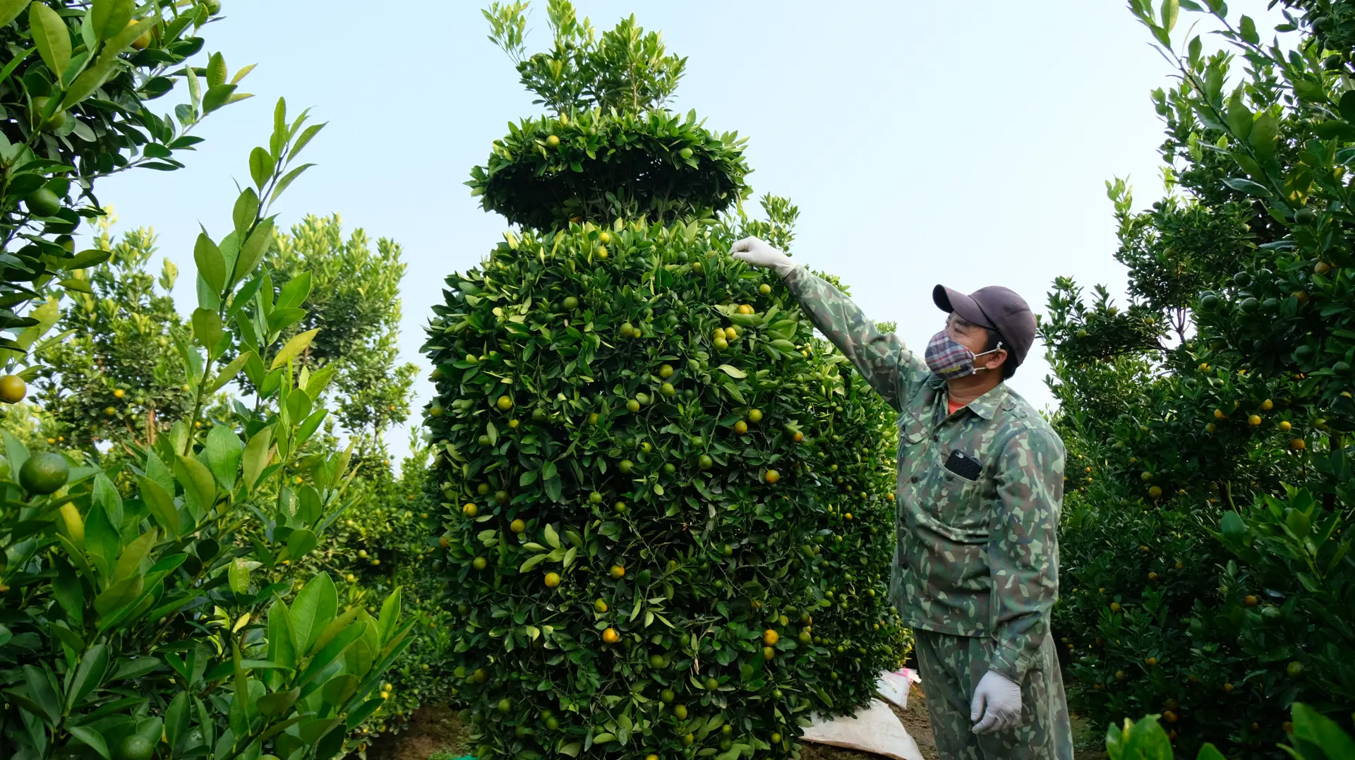 Cần cú hích về cơ chế, chính sách để phát triển nông nghiệp bền vững