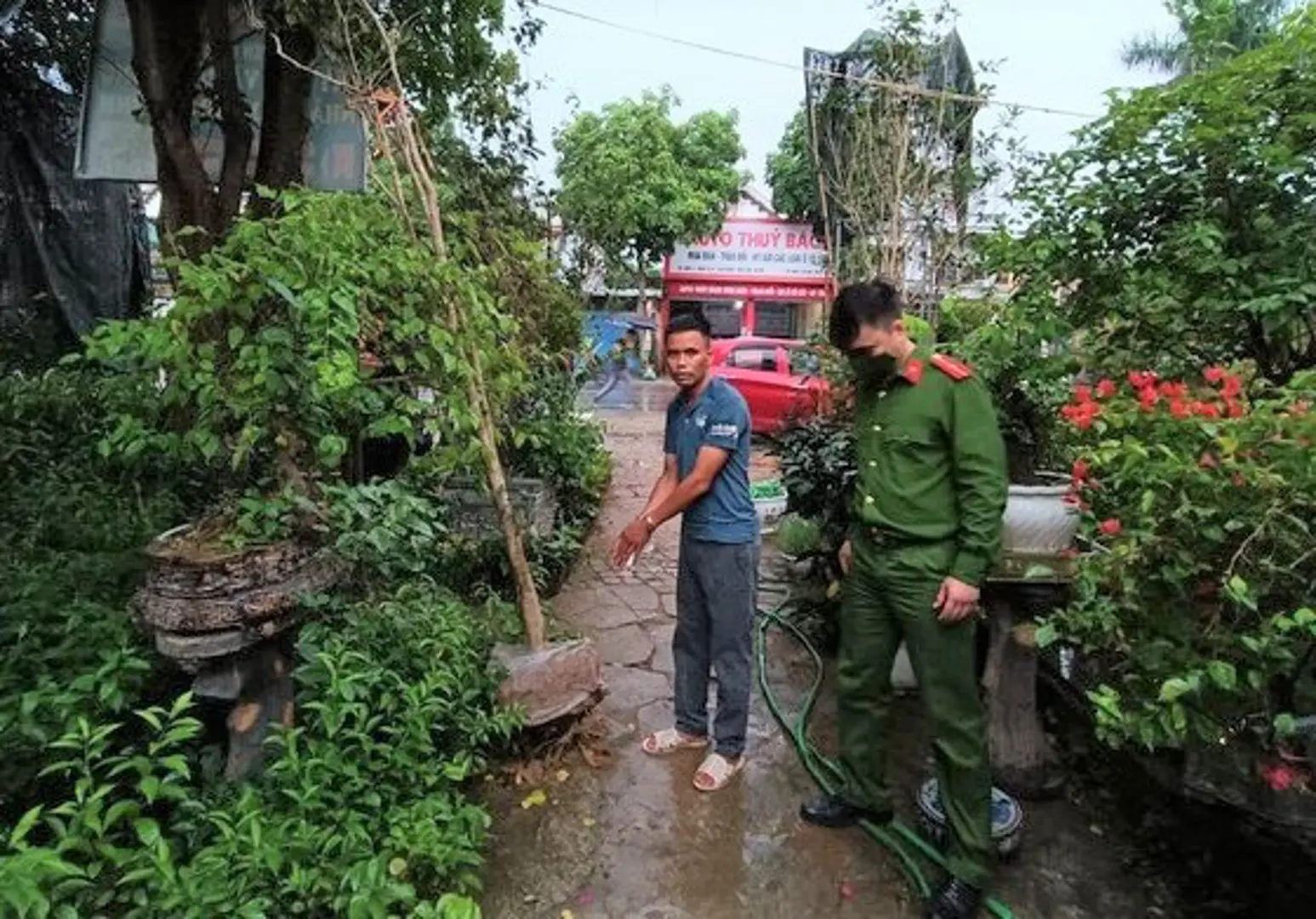 Bắt đối tượng trộm cắp hàng loạt cây hoa mộc trị giá hàng trăm triệu đồng