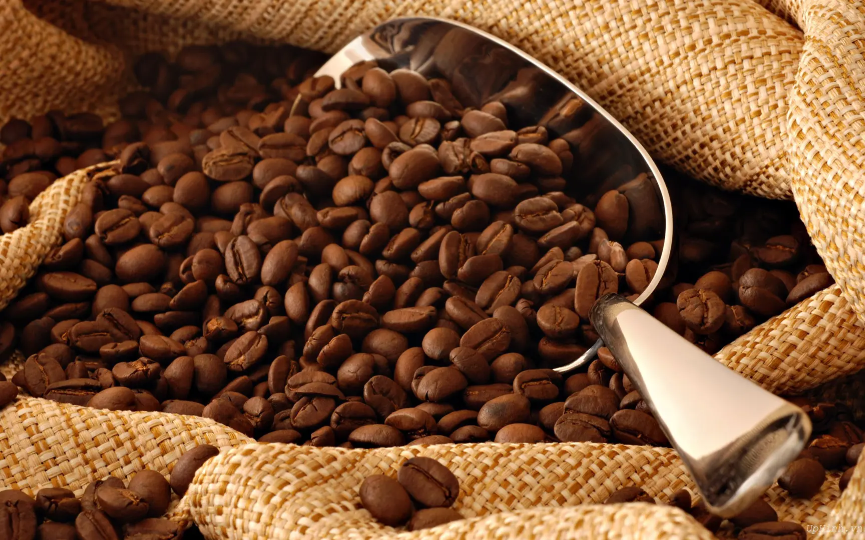 Giá cà phê hôm nay 15/6: Arabica tăng khi nín thở chờ Fed tăng lãi suất