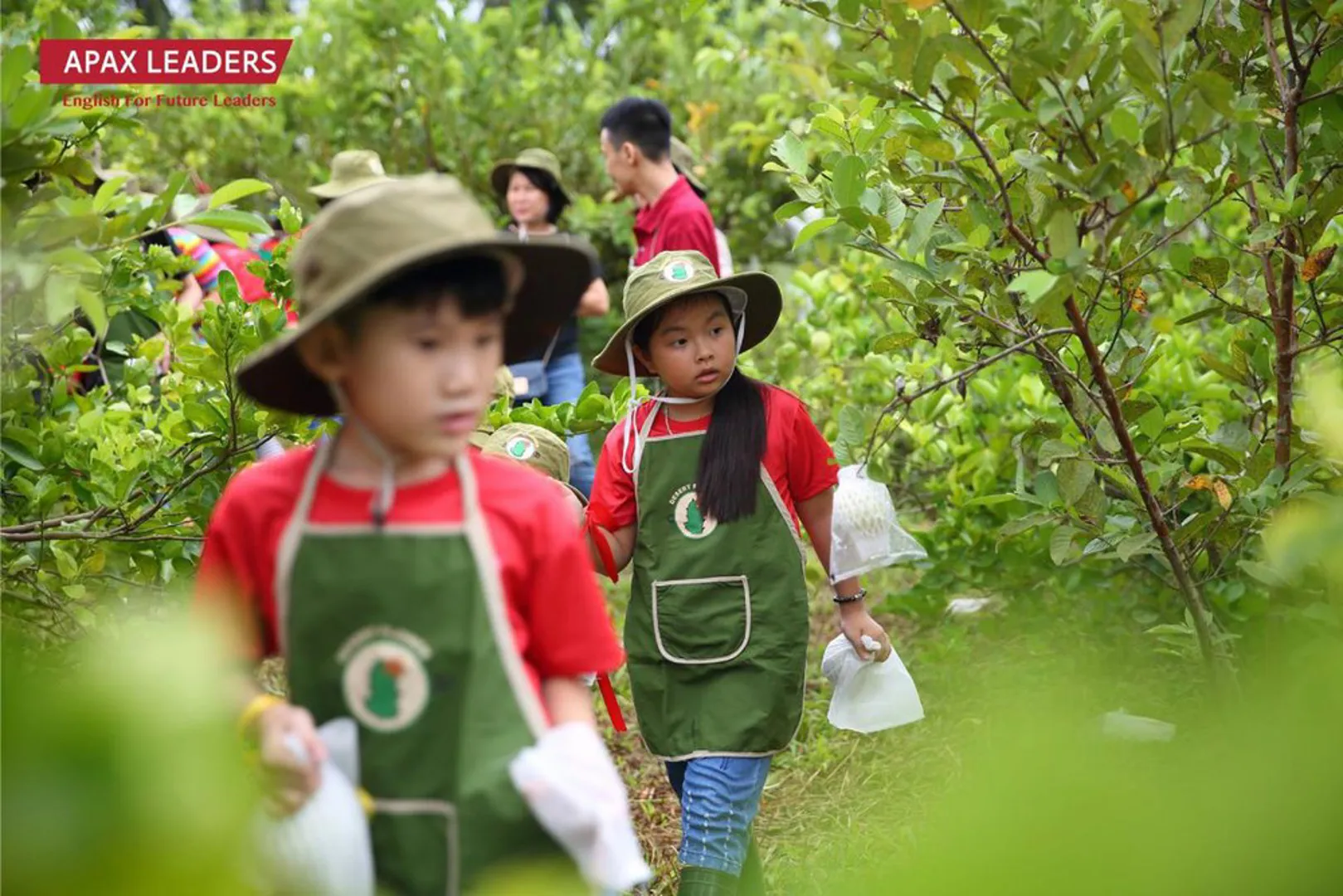 “Apax Summer Camp 2022” sắp được triển khai tại các trung tâm Apax Leaders ở miền Bắc. Ảnh: Khắc Kiên