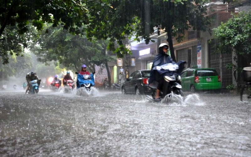 Dự báo thời tiết ngày 1/7: Hà Nội ngày mưa rào, cục bộ mưa to