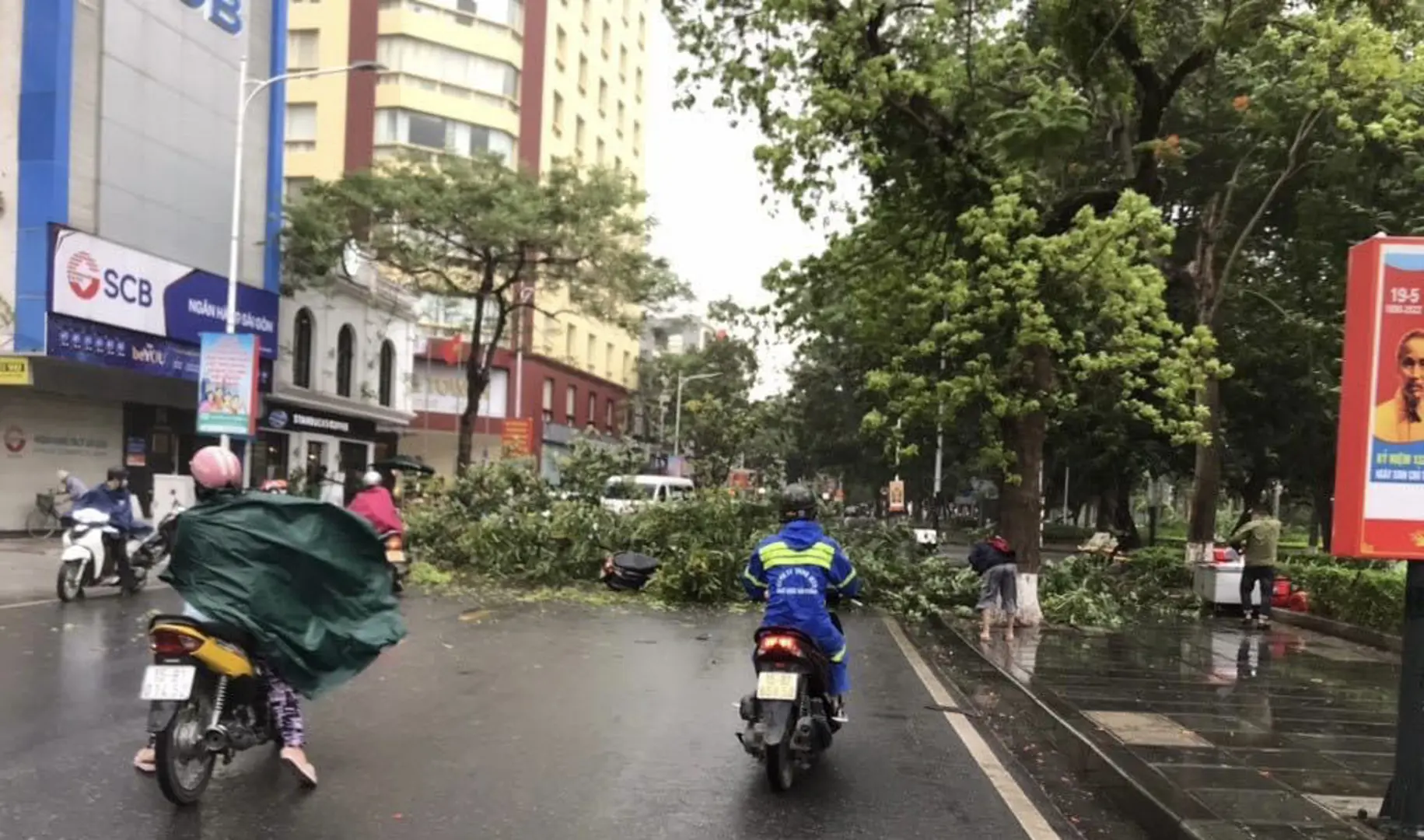 Ảnh hưởng bão số 1, nhiều cây xanh tại TP Hải Phòng bị gãy đổ