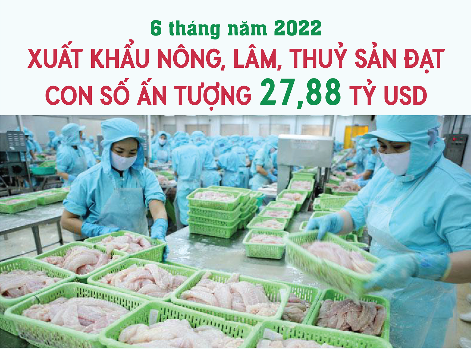 Ấn tượng xuất khẩu nông, lâm, thủy sản 6 tháng đầu năm 2022