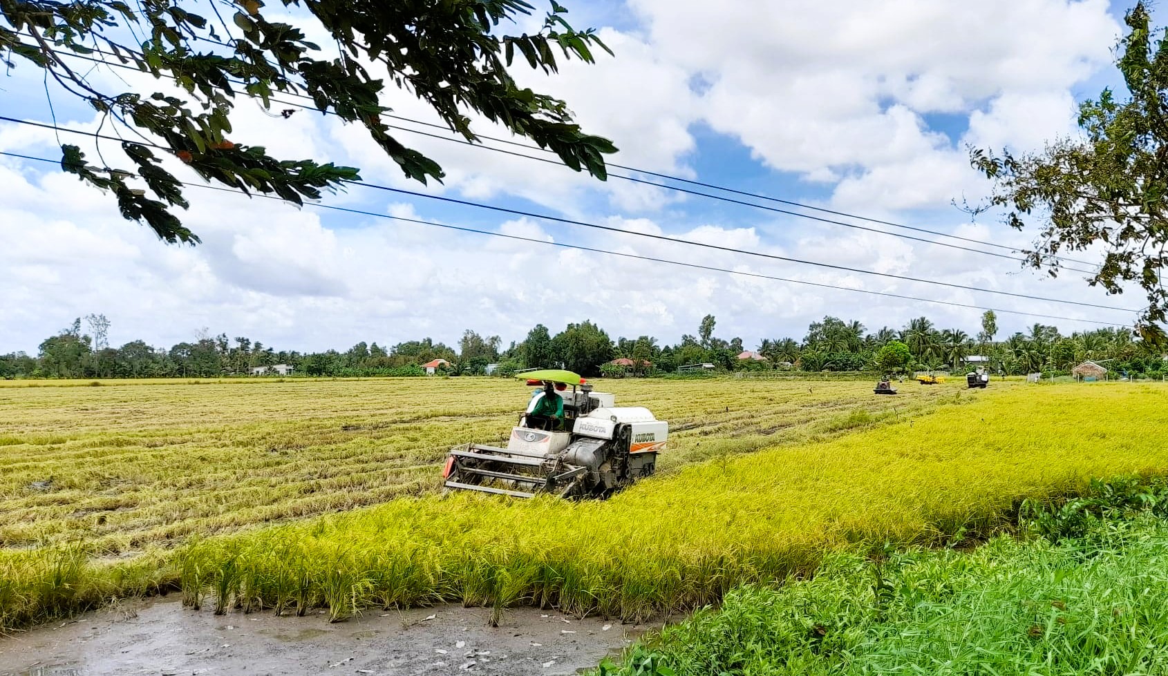 Hậu Giang: Tăng trưởng nông nghiệp cao nhất 10 năm qua