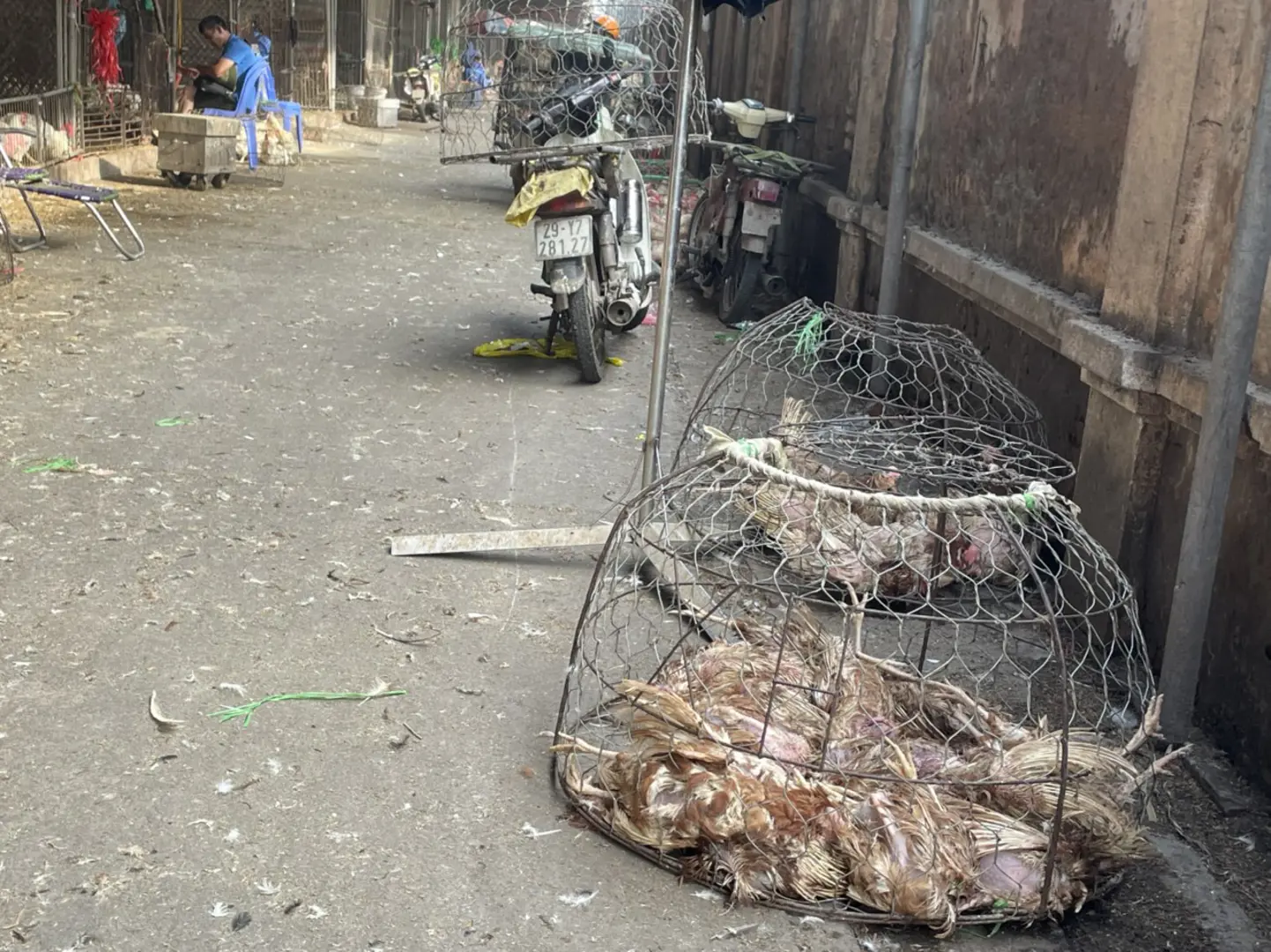 “Hàng loạt” tiểu thương chợ gia cầm Hà Vỹ tháo dỡ công trình vi phạm