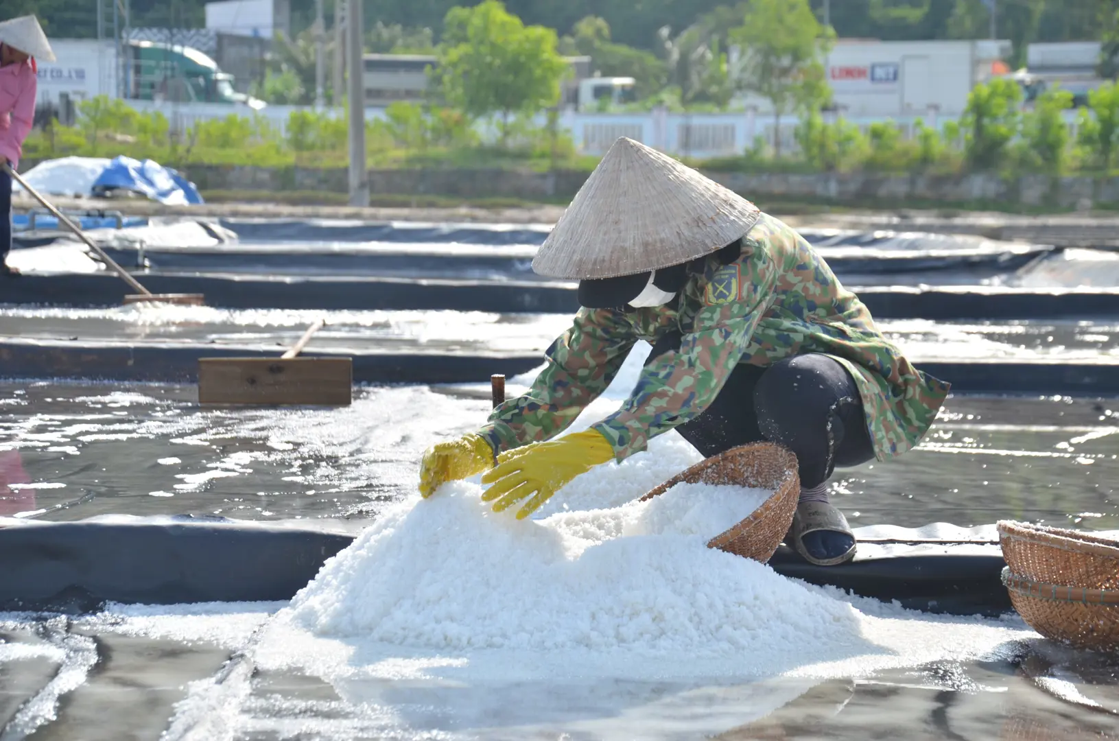 Quảng Ngãi: Giá muối đạt kỷ lục sau nhiều năm ''rẻ như bèo''