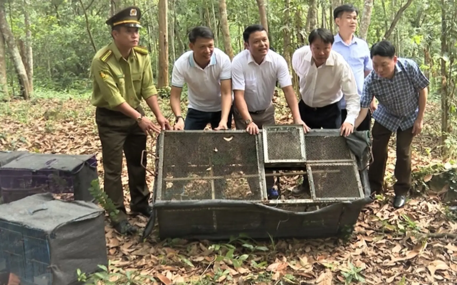 Tái thả động vật hoang dã vì mục đích bảo tồn