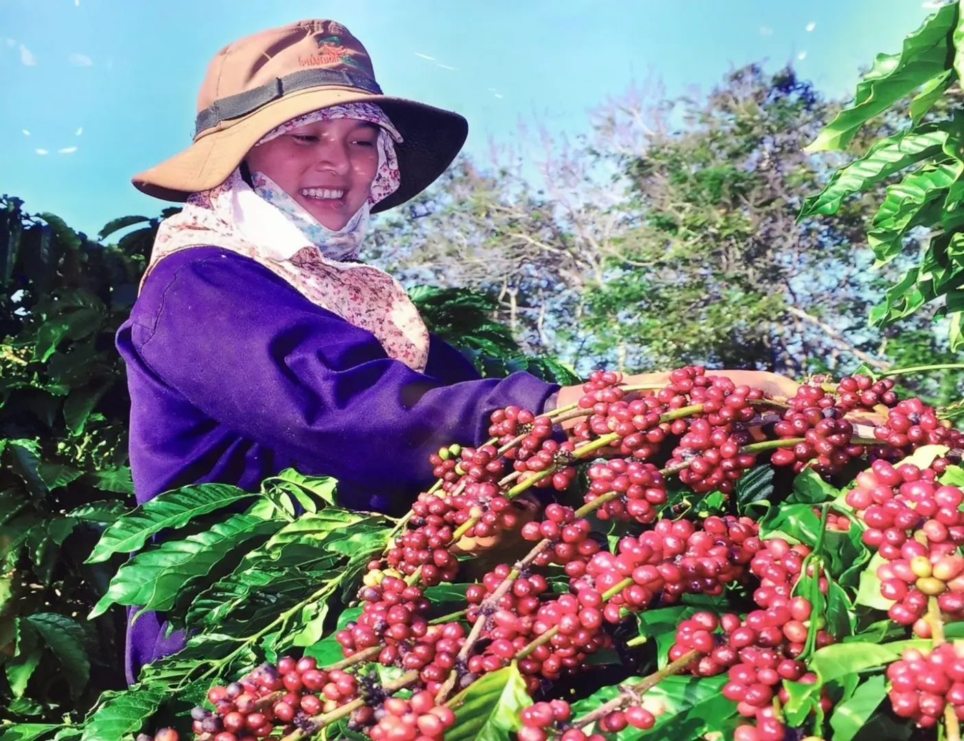 Tạo bệ phóng thương mại điện tử Tây Nguyên cất cánh