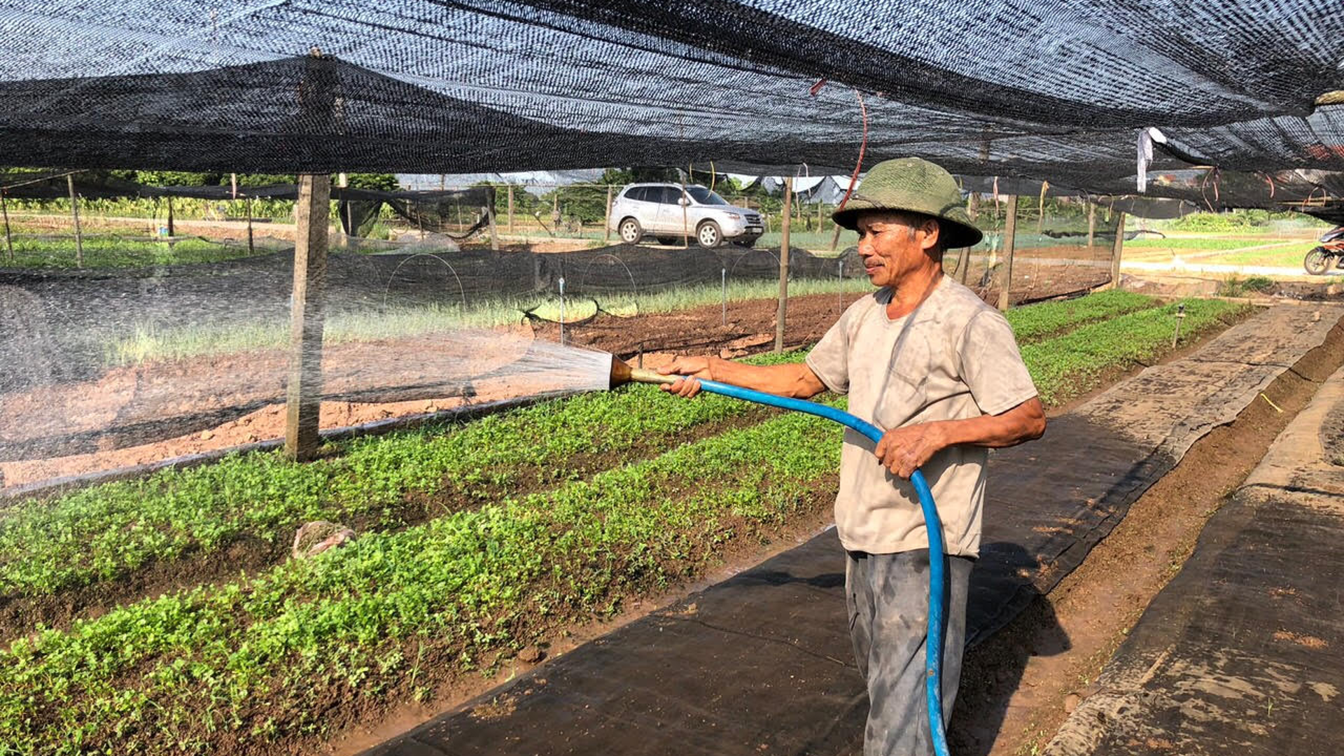 Nông nghiệp Hà Nội tăng trưởng toàn diện