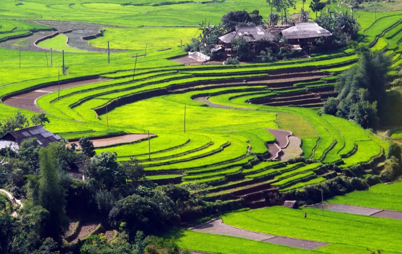 Phát triển du lịch nông thôn gắn với phát huy tiềm năng về làng nghề