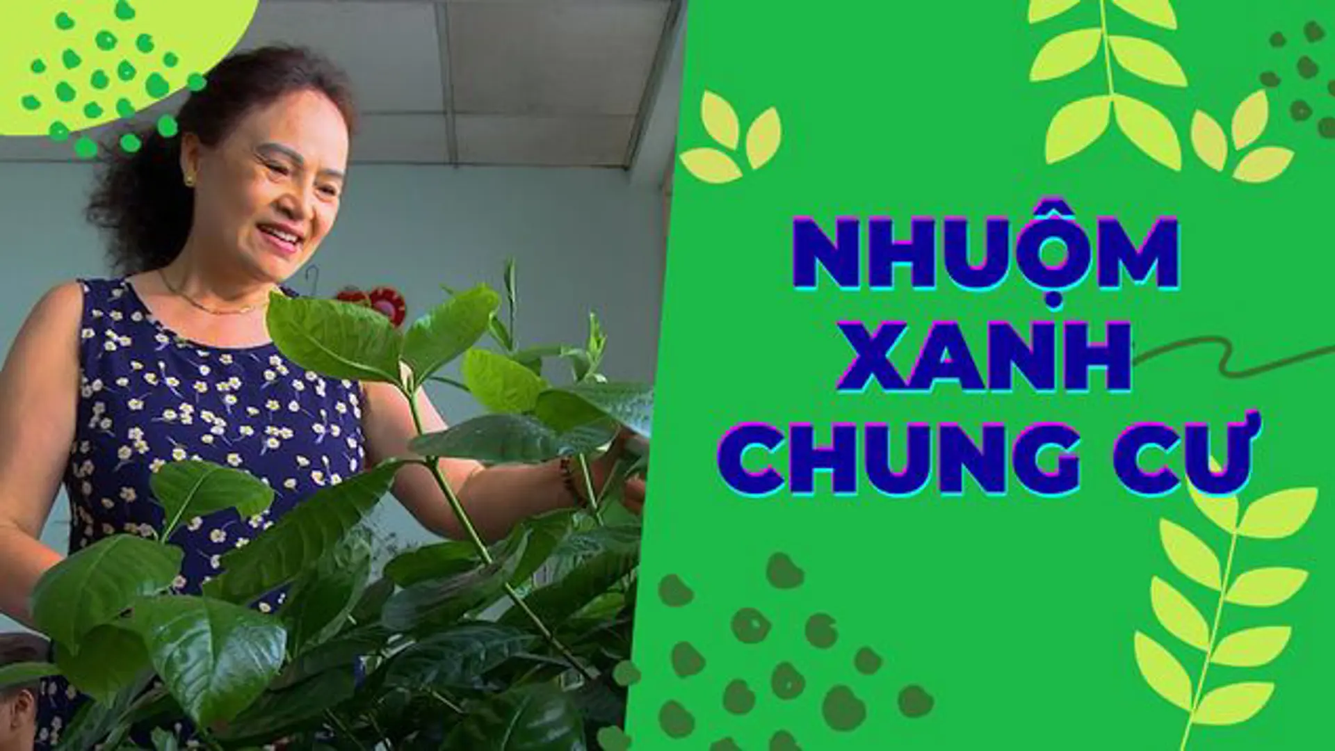 Phụ nữ Hà Đông tạo không gian xanh ở chung cư