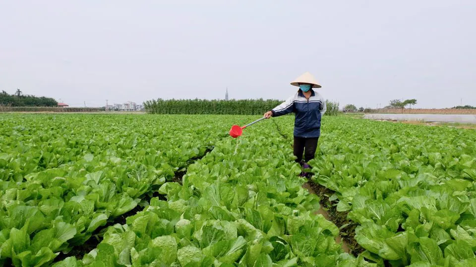 Siết kiểm soát vật tư nông nghiệp