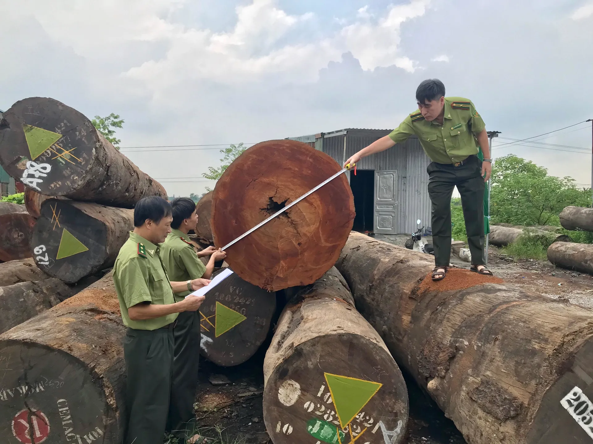 Hà Nội siết kiểm soát kinh doanh lâm sản