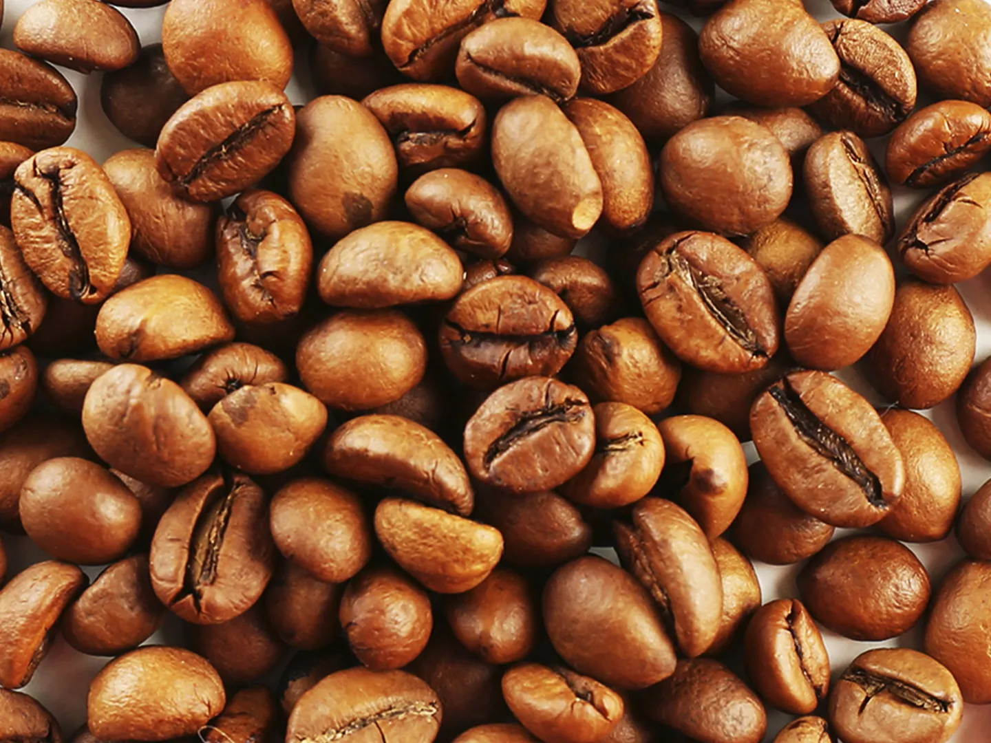 Giá cà phê hôm nay 1/9: Arabica dứt đà giảm, trong nước tăng đến 4.000 đồng/kg/tháng