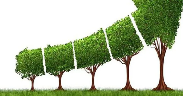 Thành lập Ban Chỉ đạo quốc gia về tăng trưởng xanh