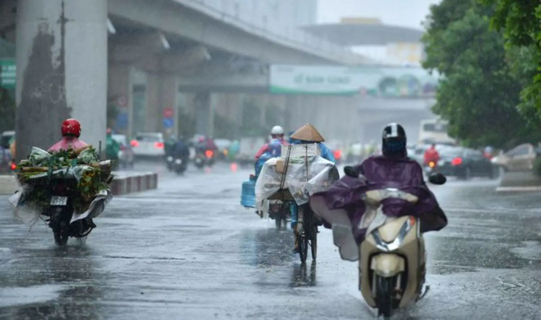 Dự báo thời tiết ngày 8/9: Mưa vừa, mưa to, có nơi mưa rất to