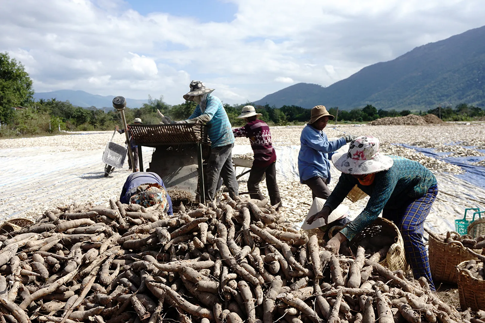 Hơn 2.283 tỷ đồng đầu tư phát triển vùng đồng bào dân tộc thiểu số