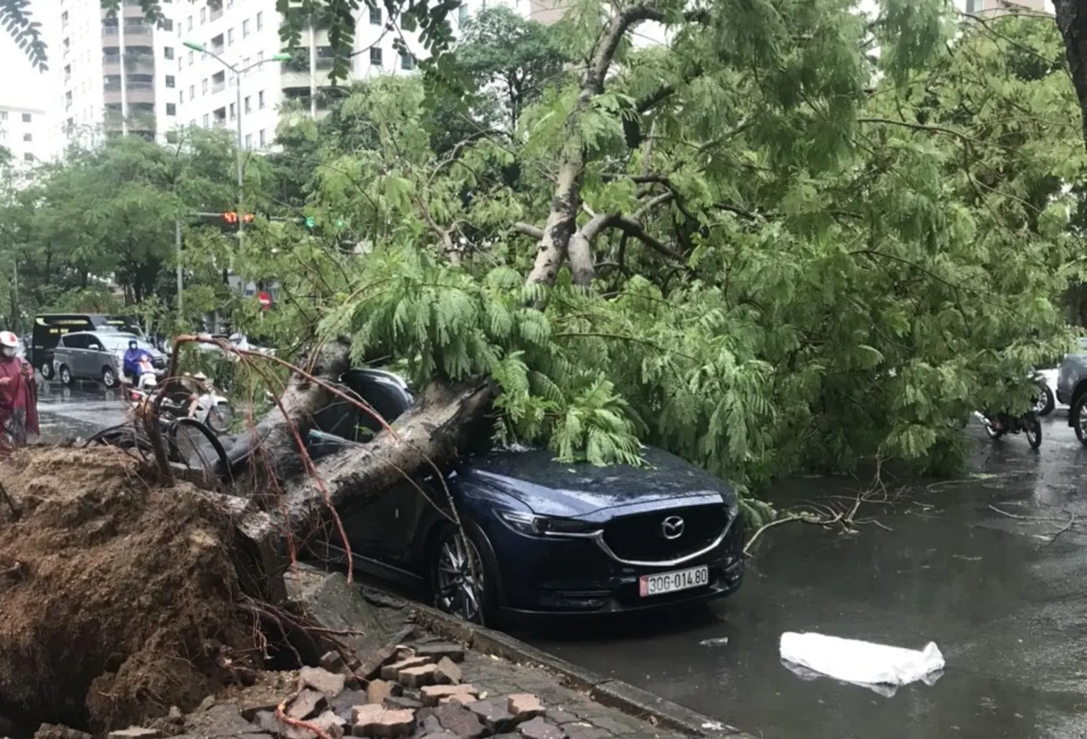 Hà Nội: Nhiều cây xanh gãy, đổ do mưa dông