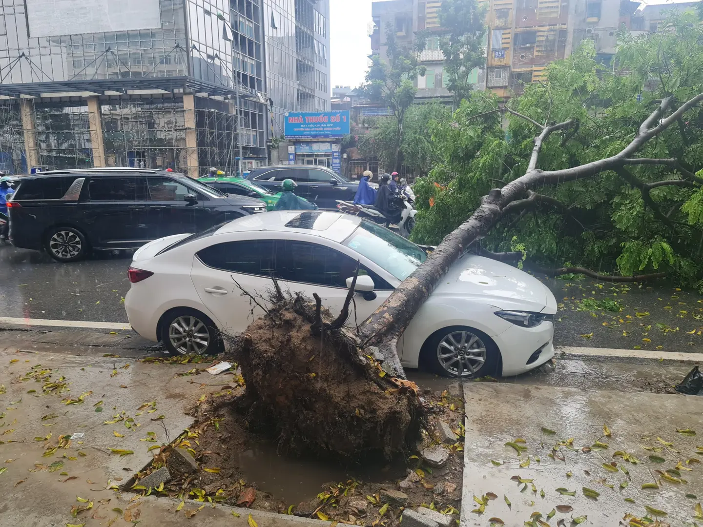 Cây đổ ngang đường đè trúng ô tô trên phố Láng Hạ