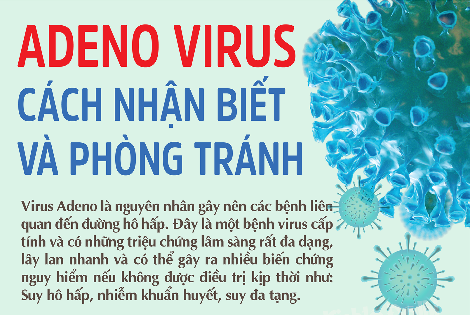 Adenovirus - Cách nhận biết và phòng tránh