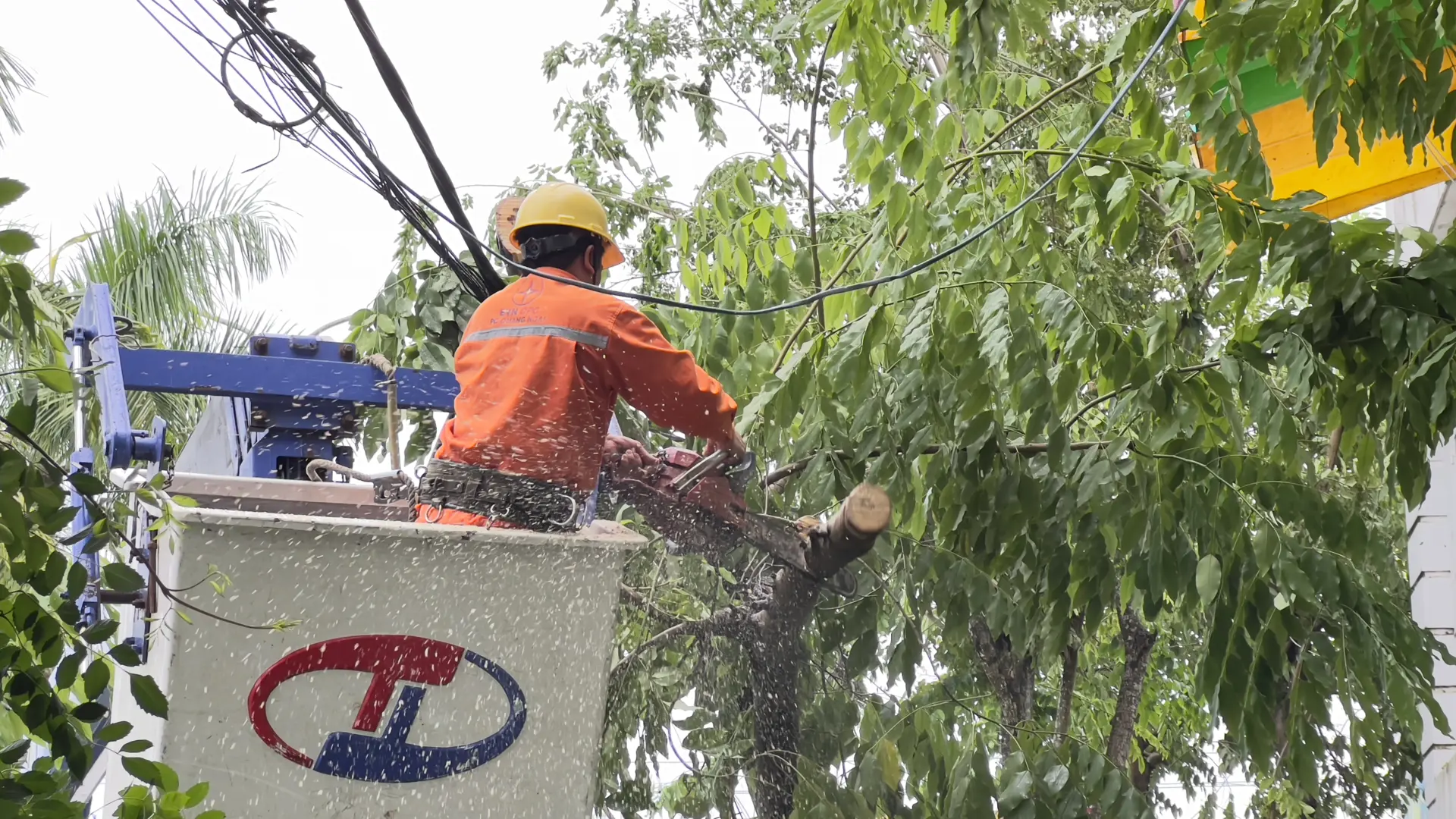 Quảng Ngãi: Tập trung khắc phục hậu quả bão số 4