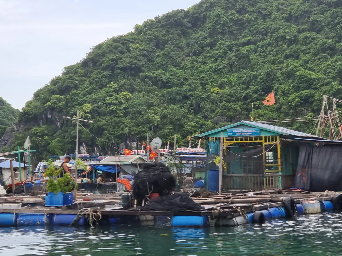 Cát Hải: Giải tỏa lồng bè tiến tới thương hiệu du lịch “Cát Bà xanh”