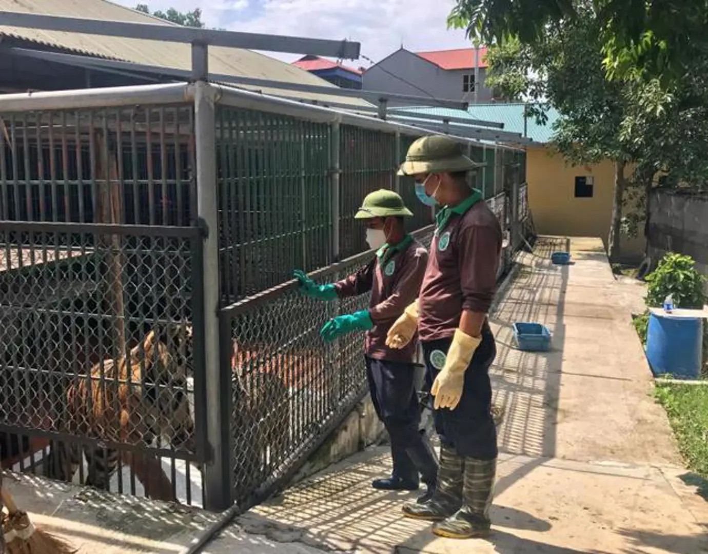 Cần thiết thành lập cơ sở đa dạng sinh học của Hà Nội