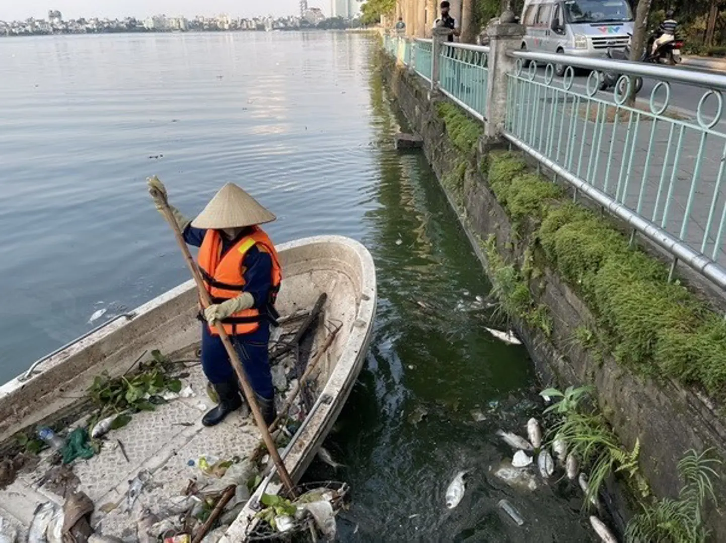 Hà Nội: Khẩn trương khắc phục tình trạng cá chết nổi trắng một góc hồ Tây