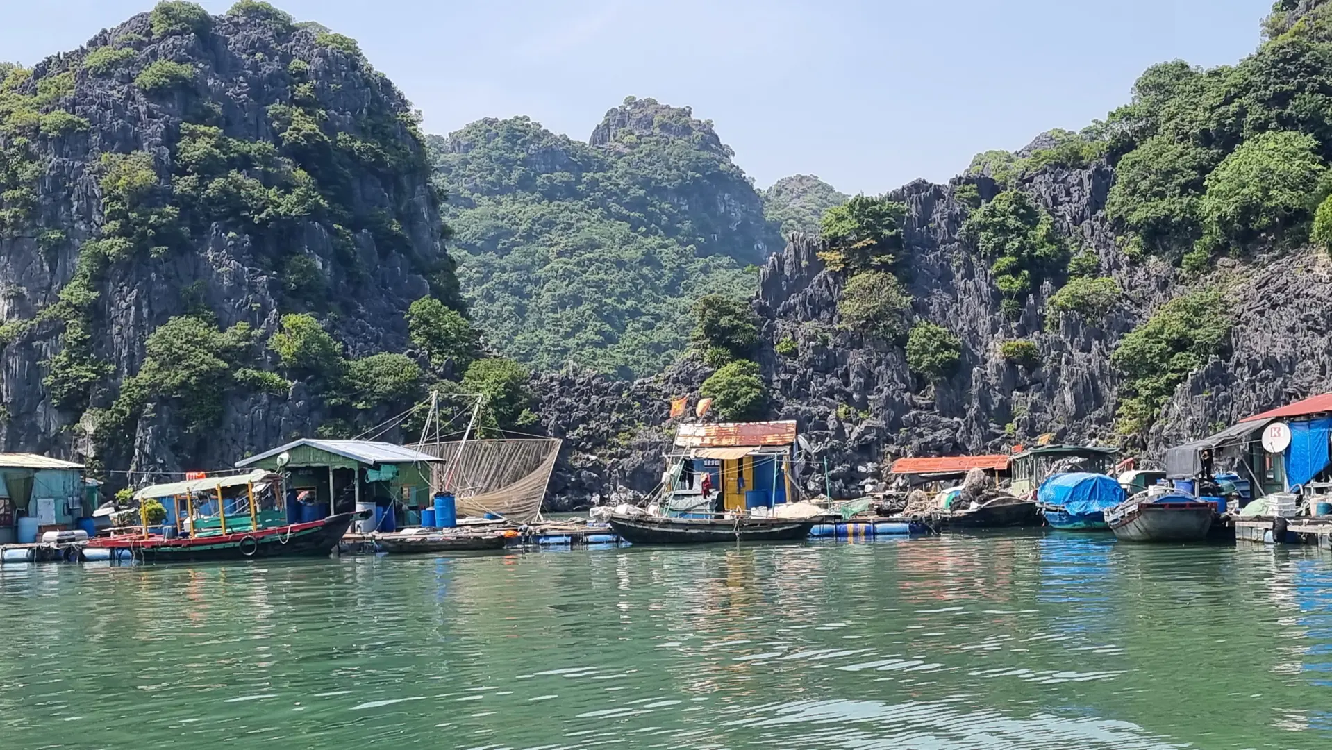 Hải Phòng: Lộ trình di dời lồng bè cần sự đồng thuận cao từ người dân