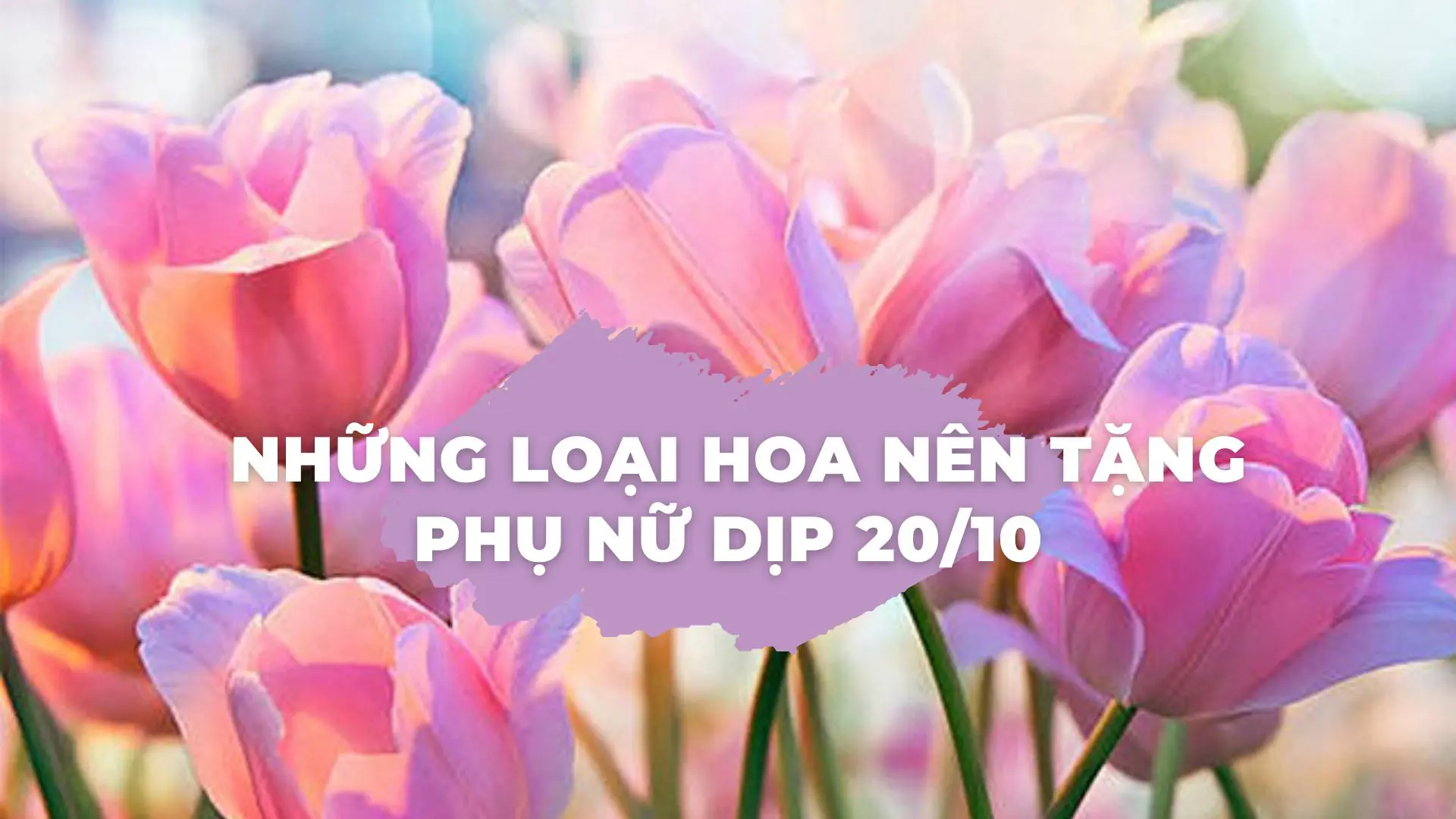 Ngày 20/10 nên tặng hoa gì cho chị em phụ nữ?