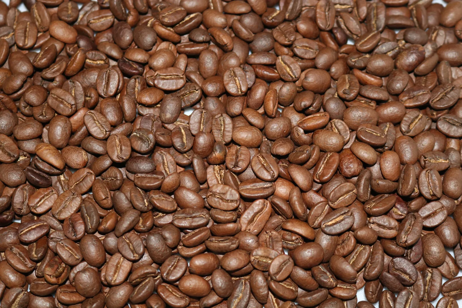 Giá cà phê hôm nay 22/10: Robusta về mốc 2.000 USD/tấn, trong nước dưới 44.000 đồng/kg