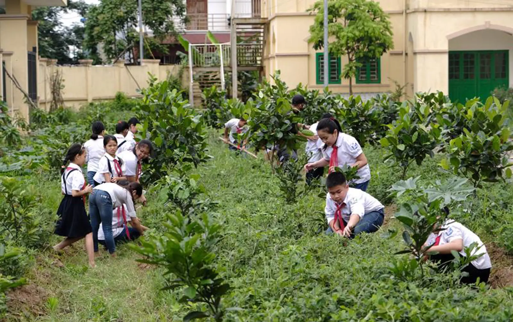 Nâng cao ý thức, đẩy mạnh hành động bảo vệ môi trường từ ghế nhà trường