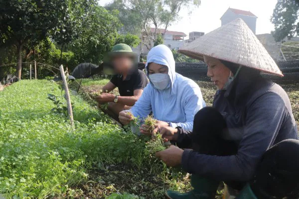 Bắc Từ Liêm hỗ trợ vay vốn, giúp người nghiện hoàn lương