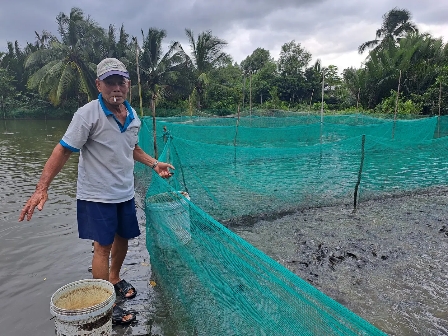 Lão nông tiên phong nuôi cá trong “vèo”, lãi hơn 300 triệu đồng/năm